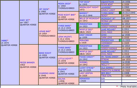 all breed pedigree horse|all breed database pedigree.